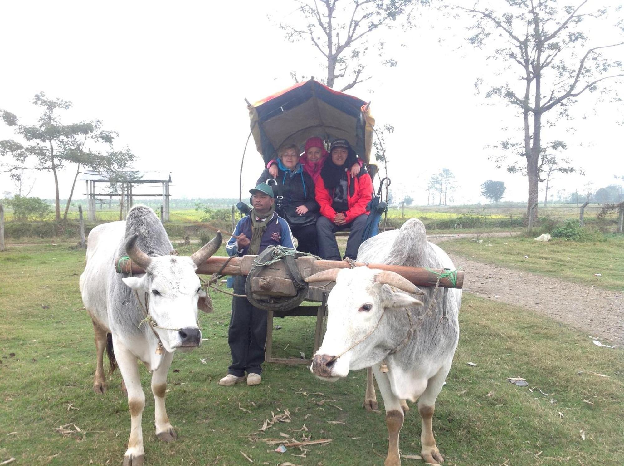Everest Home Stay Apartment Lalitpur ภายนอก รูปภาพ