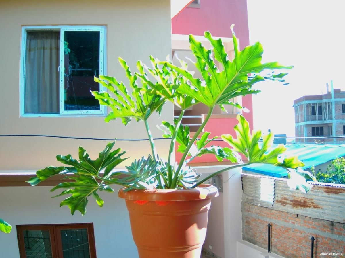 Everest Home Stay Apartment Lalitpur ภายนอก รูปภาพ